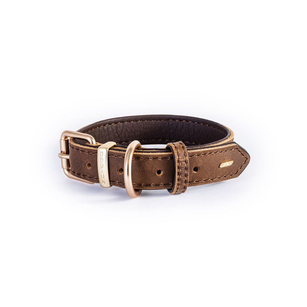 oxford-dog-collar-brown