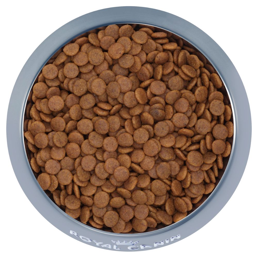 royal-canin-medium-puppy-food-kibble-photo