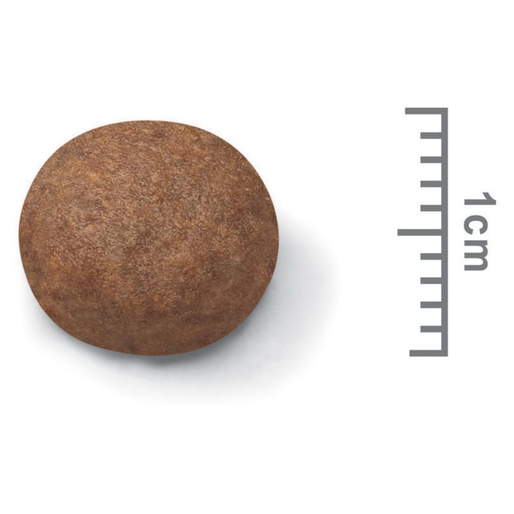 royal-canin-medium-puppy-food-kibble-size