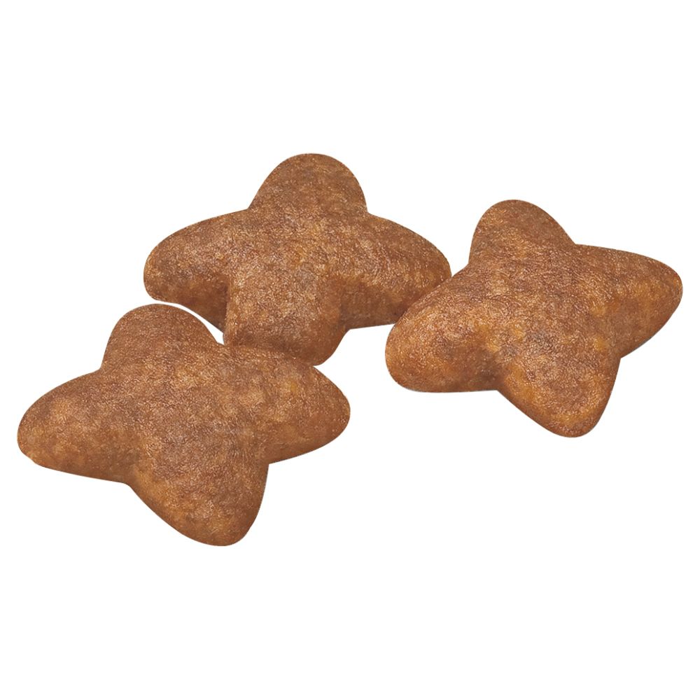 royal-canin-mini-adult-kibble-close-up
