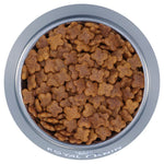 royal-canin-adult-mini-kibble-in-bowl