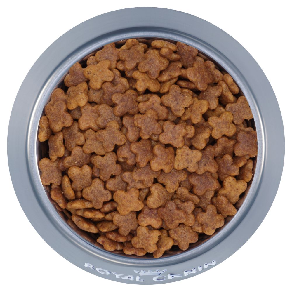 royal-canin-adult-mini-kibble-in-bowl