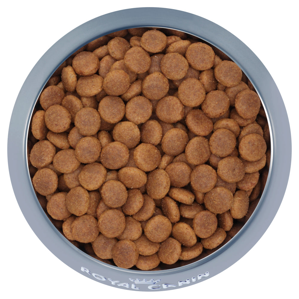 Royal-Canin-Medium-Adult