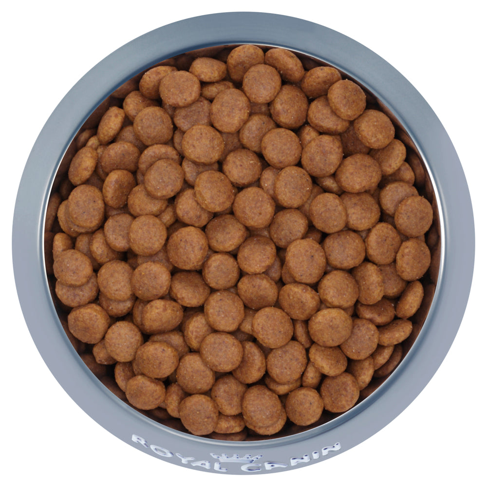 Royal-Canin-Medium-Adult-7