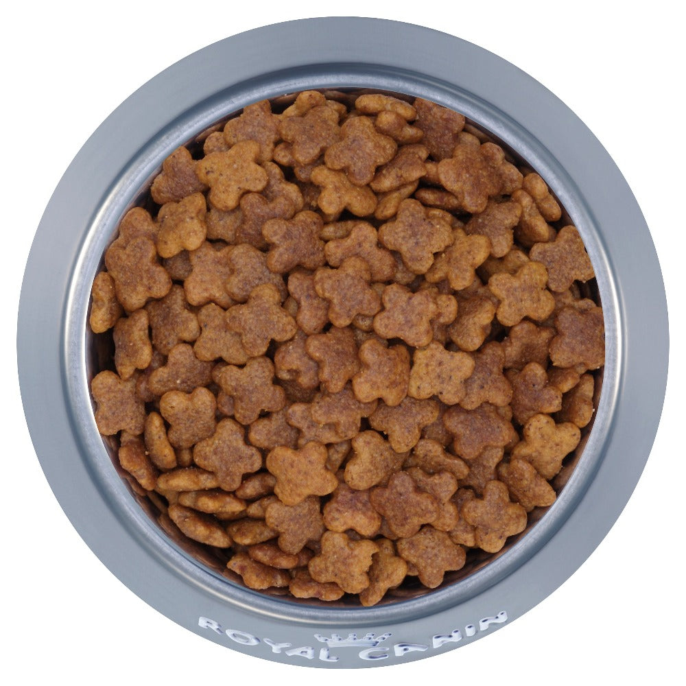 Royal-Canin-Adult-8+