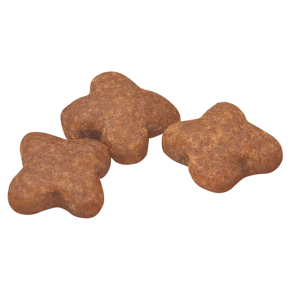 Royal-canin-adult-8+