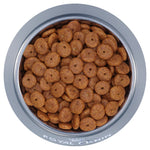 Royal-Canin-Mini-Ageing-12+
