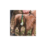 beco-poop-bag-holder
