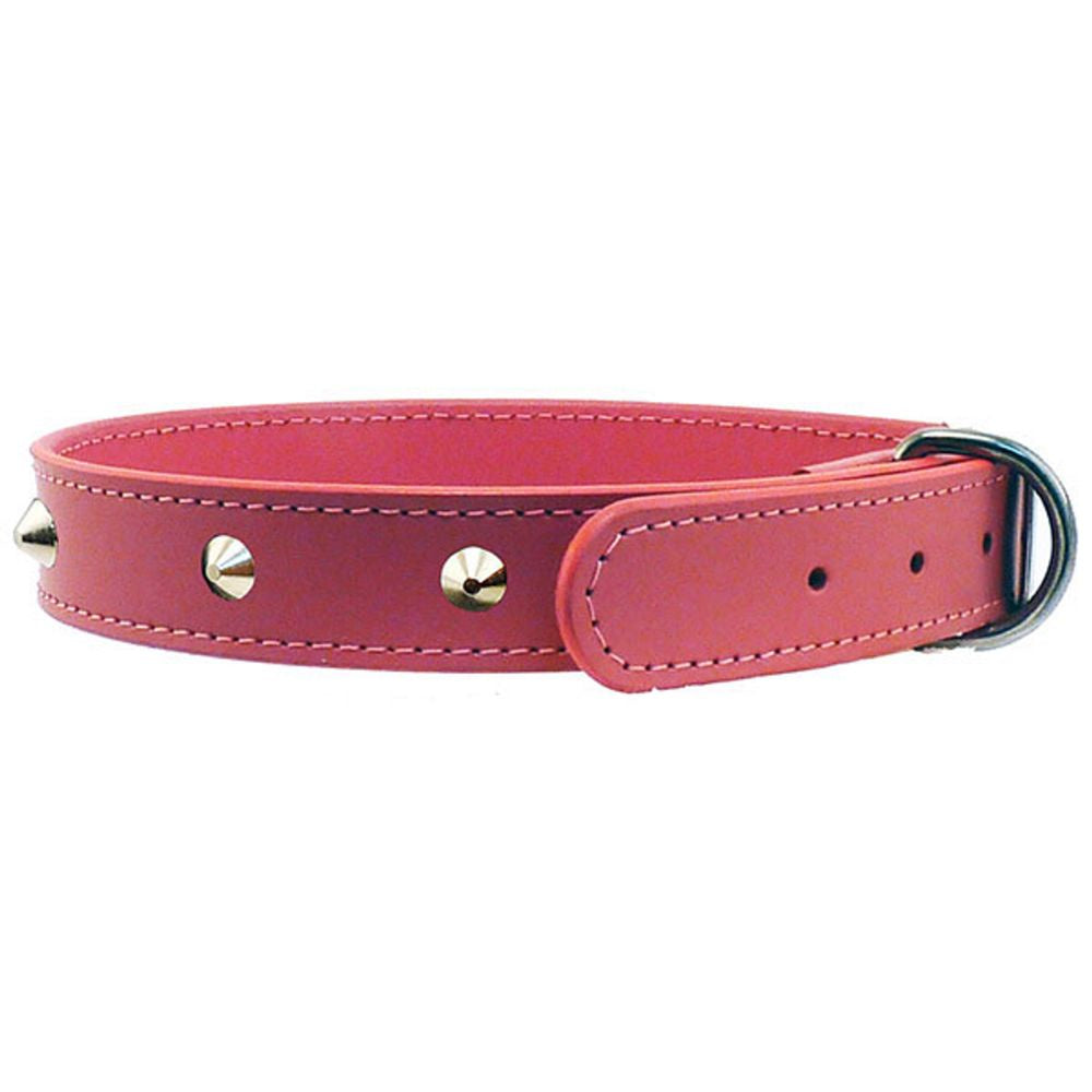 stitched-studded-dog-collar