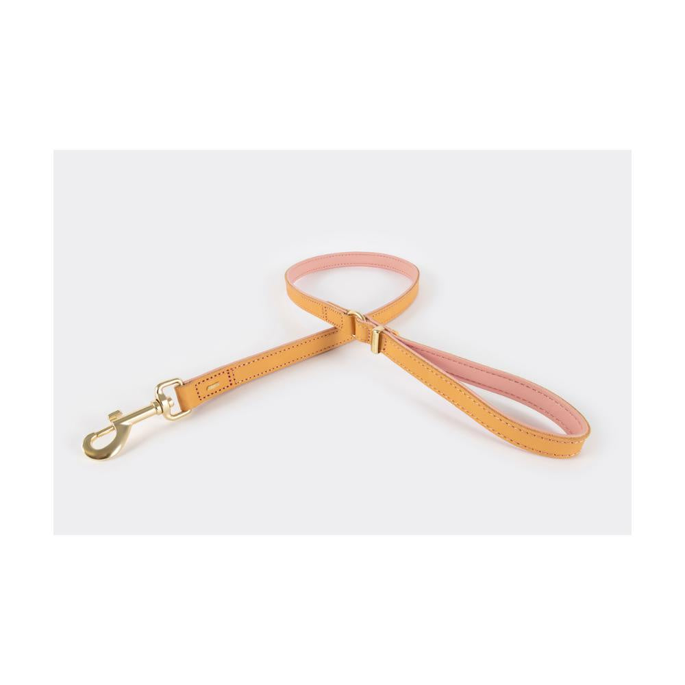 ezydog-oxford-blush-leash 