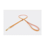 ezydog-blush-oxford-lead-lite