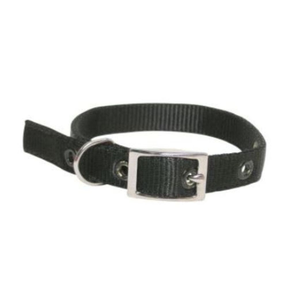 Goat Collar Nylon