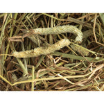Topflite-Timothy-Hay
