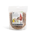 Topflite-Mealworms