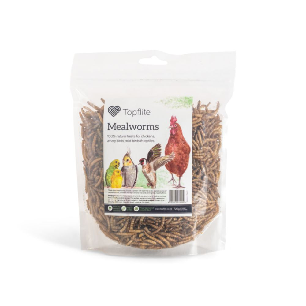 Topflite-Mealworms