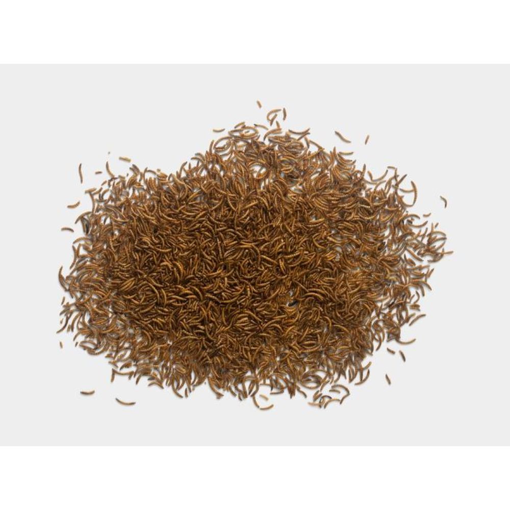 topflite-mealworms