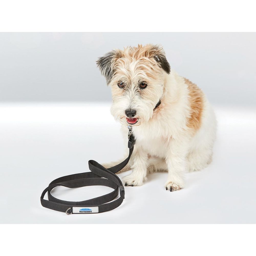 Weatherbeeta-Elegance-Dog-Lead-Black