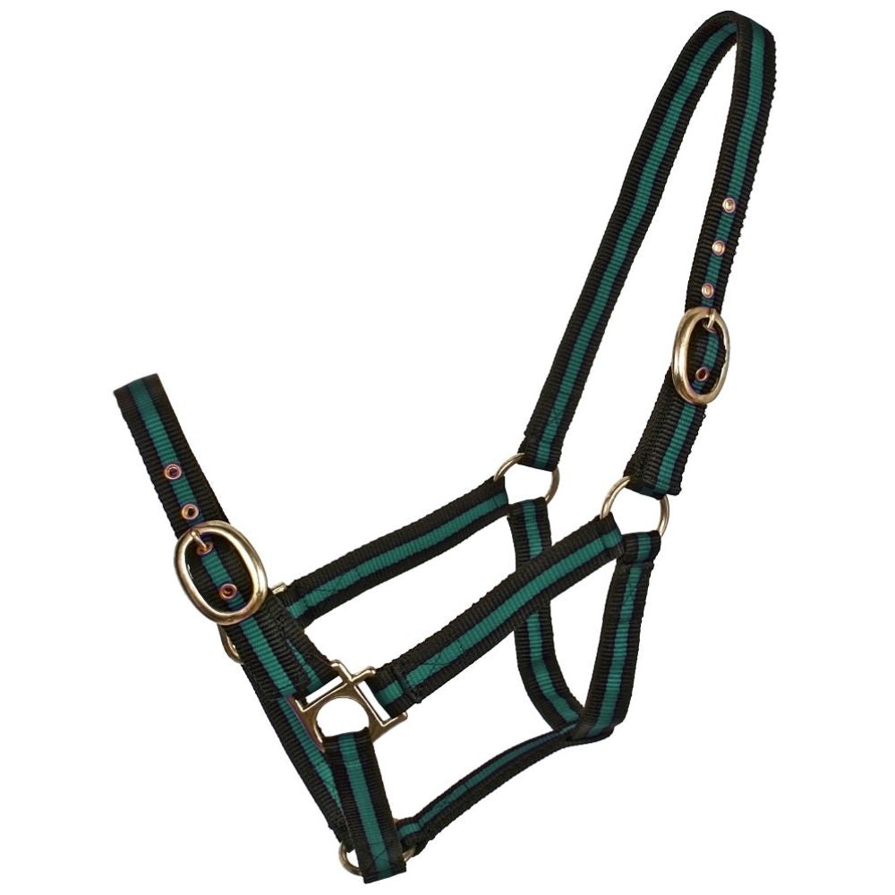 BT Striped Web Halters