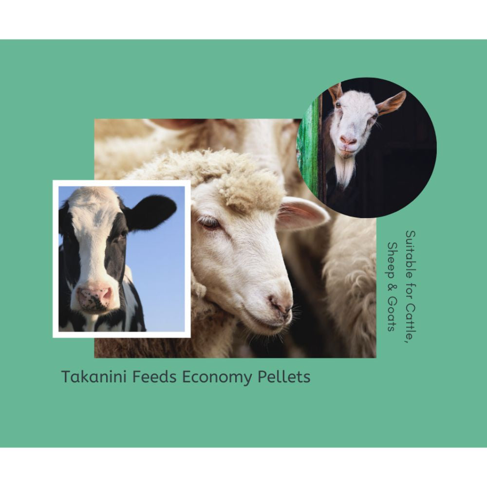 Takanini Feeds Economy Pellets