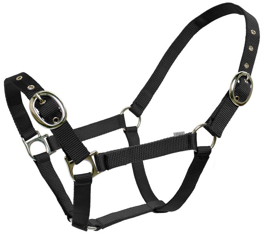 Blue Tag Nylon Halter