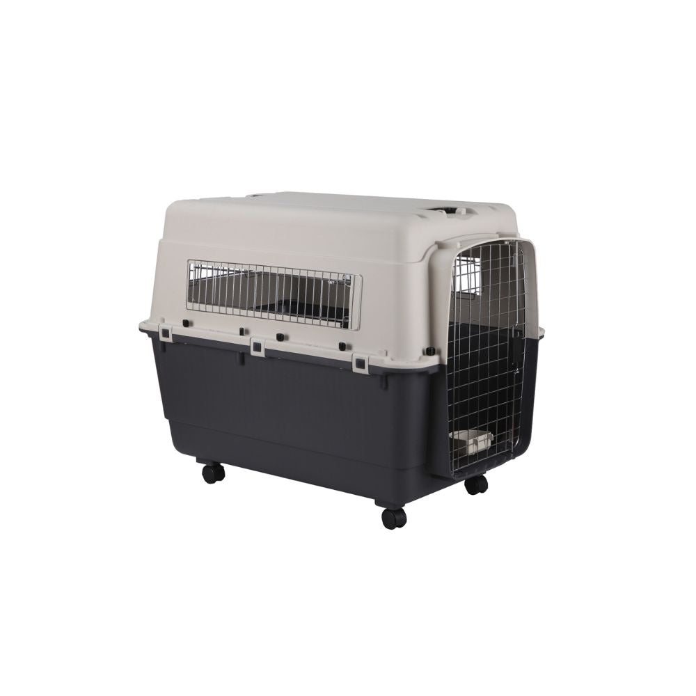 airline-pet-carrier-extra-large-