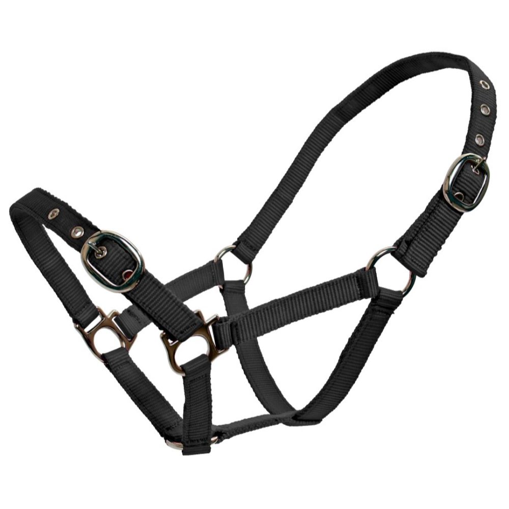 Web Halter