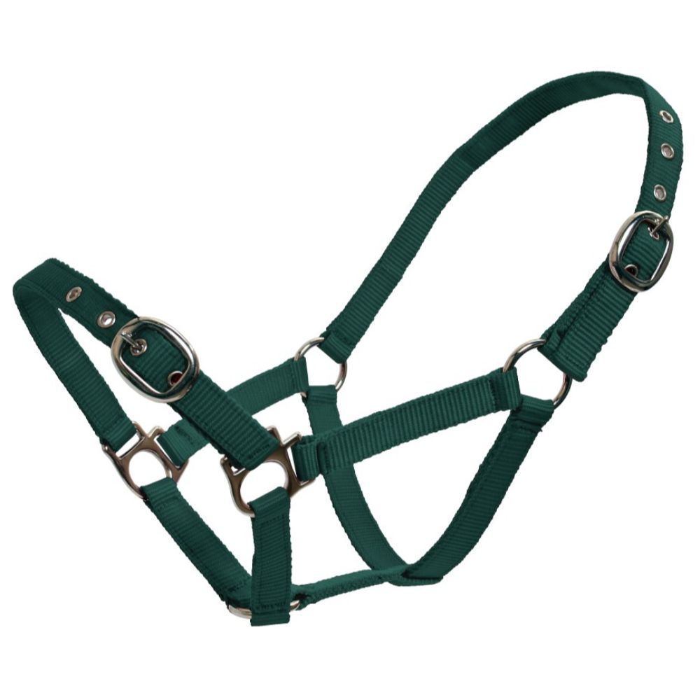 Web Halter