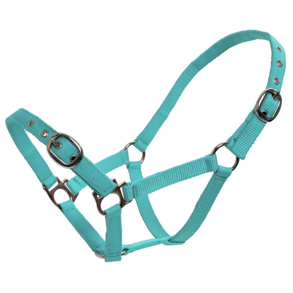 Web Halter