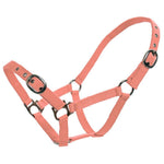 Web Halter