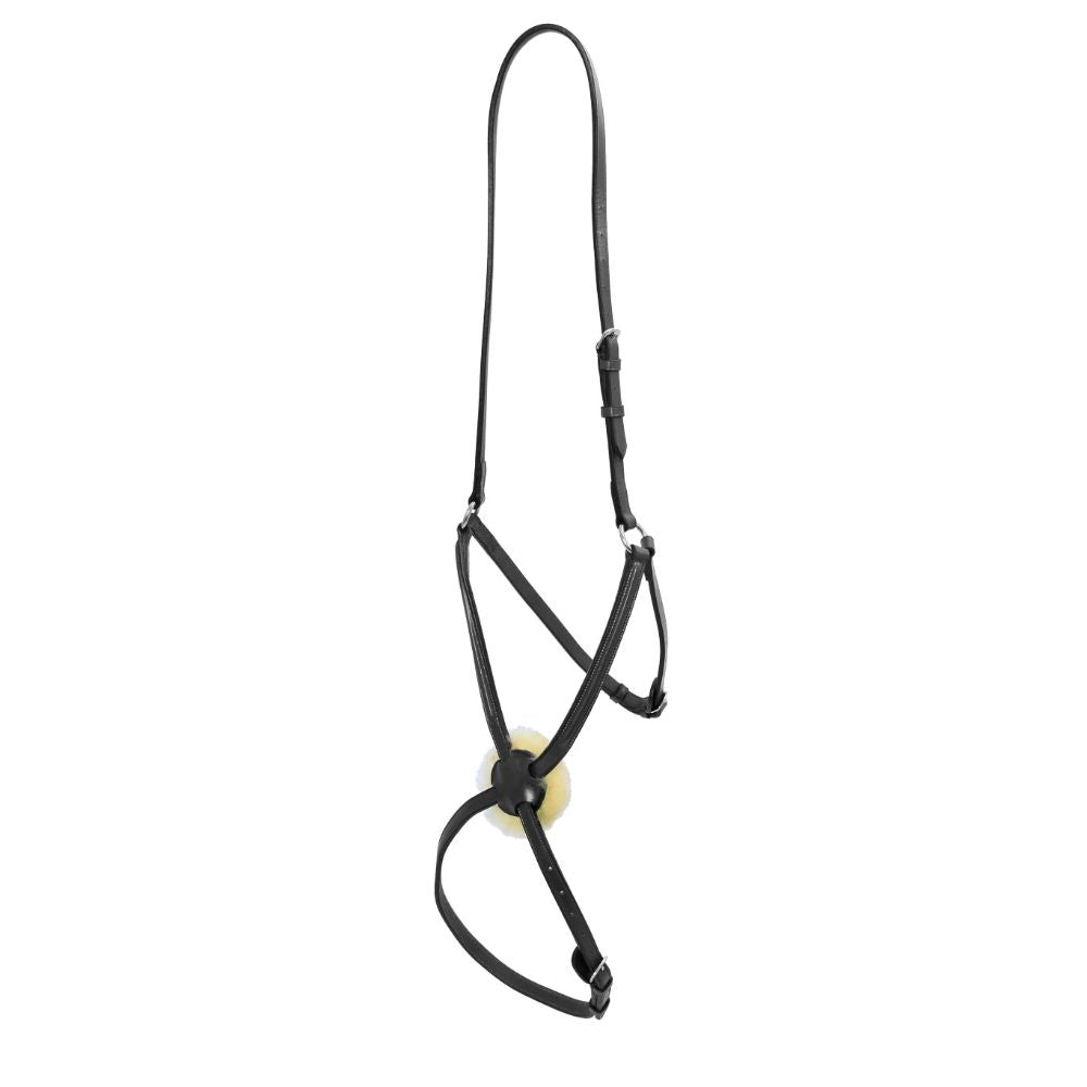 Platinum Mexican Grakle Noseband Black
