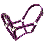 Blue Tag Striped Web Halter