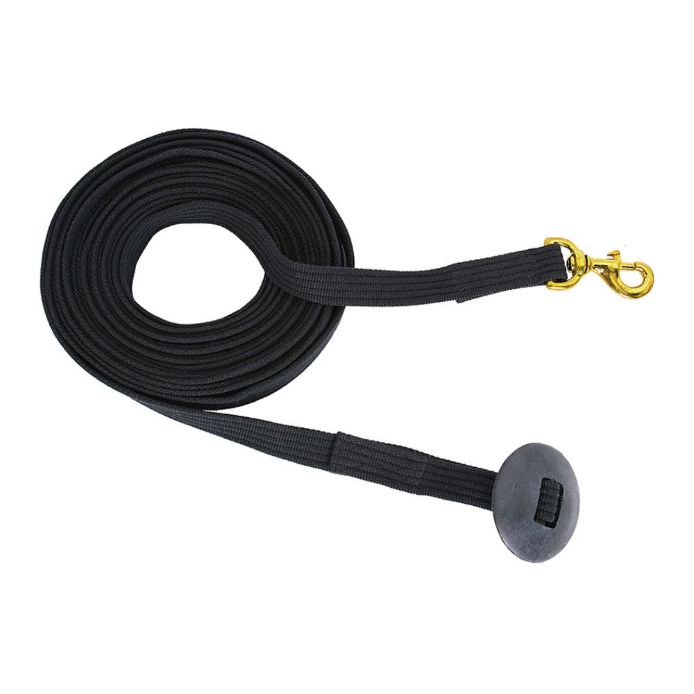 Blue Tag Lunge Lead