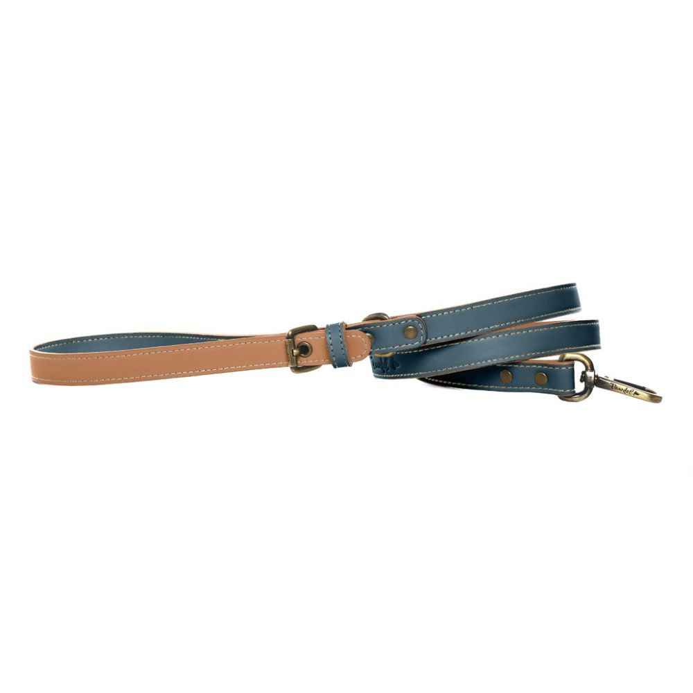 pawdel-alpha-dog-leash-lapis