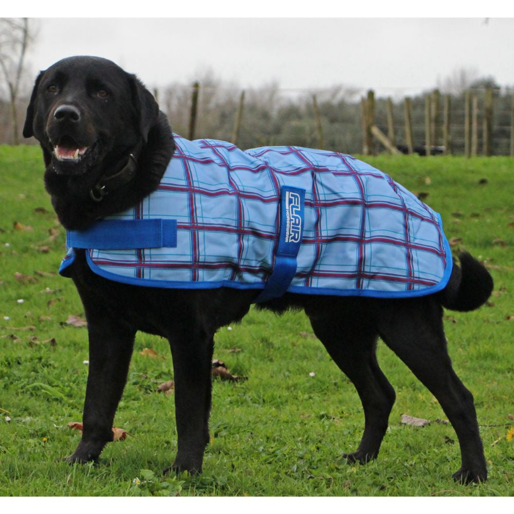 Flair-Wanaka-Dog-Jacket