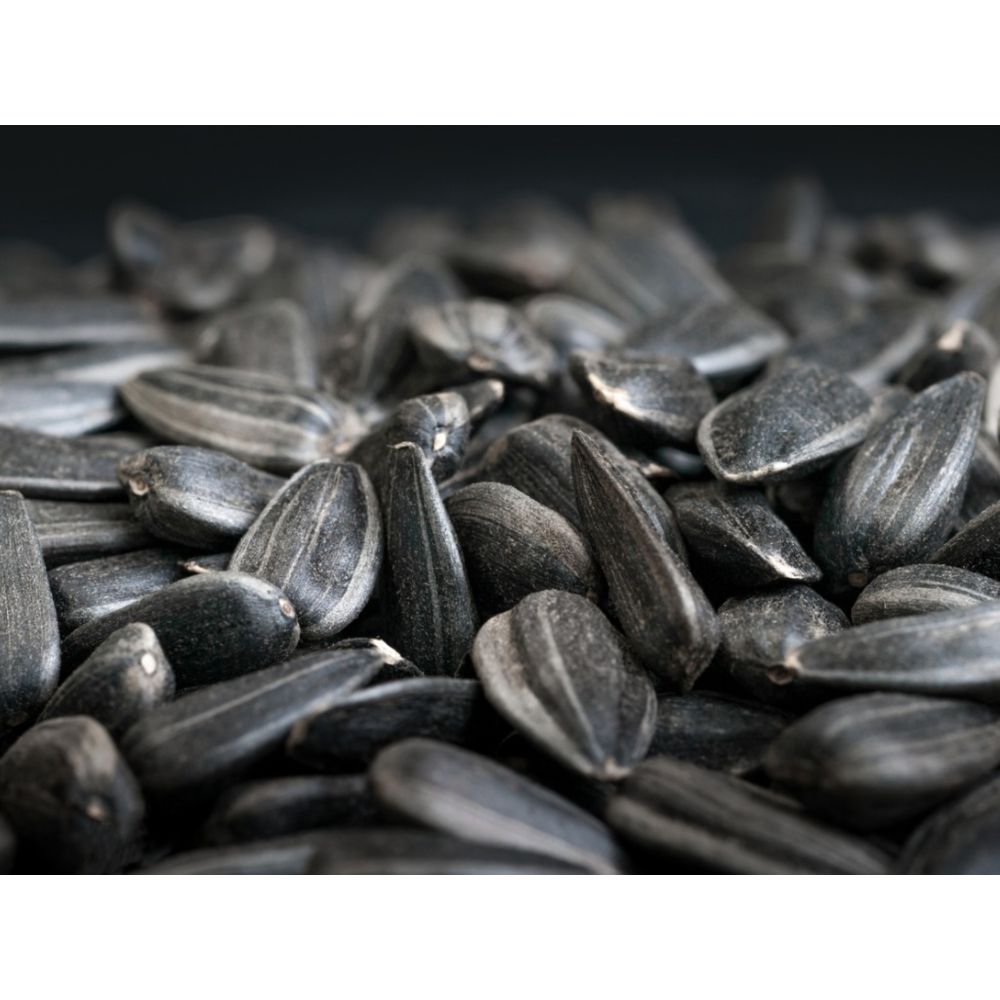 Sunflower Seeds - 2Kg