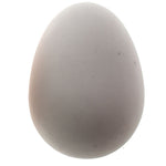 brood-eggs-for-poultry