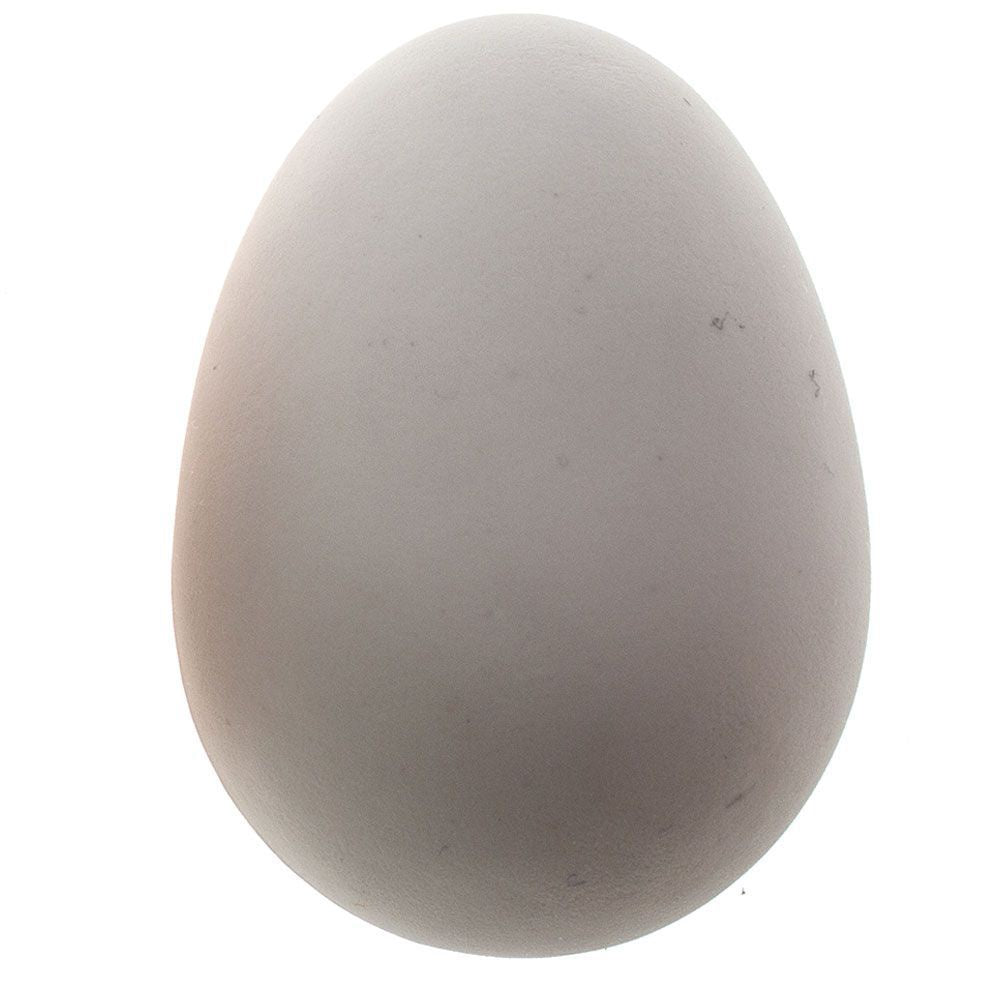 brood-eggs-for-poultry