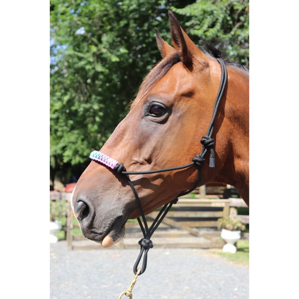 Rainbow Padded Nose Rope Halter