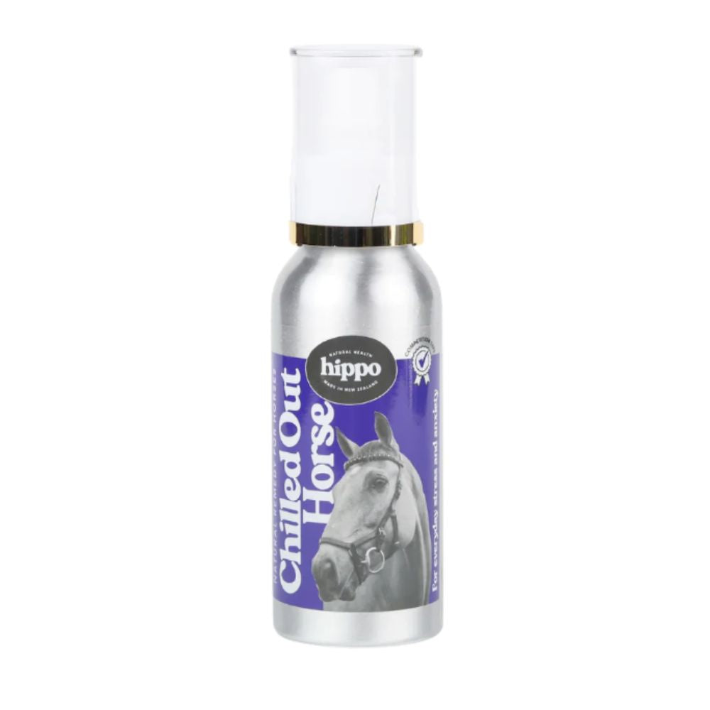 hippo-health-chilled-out-horse
