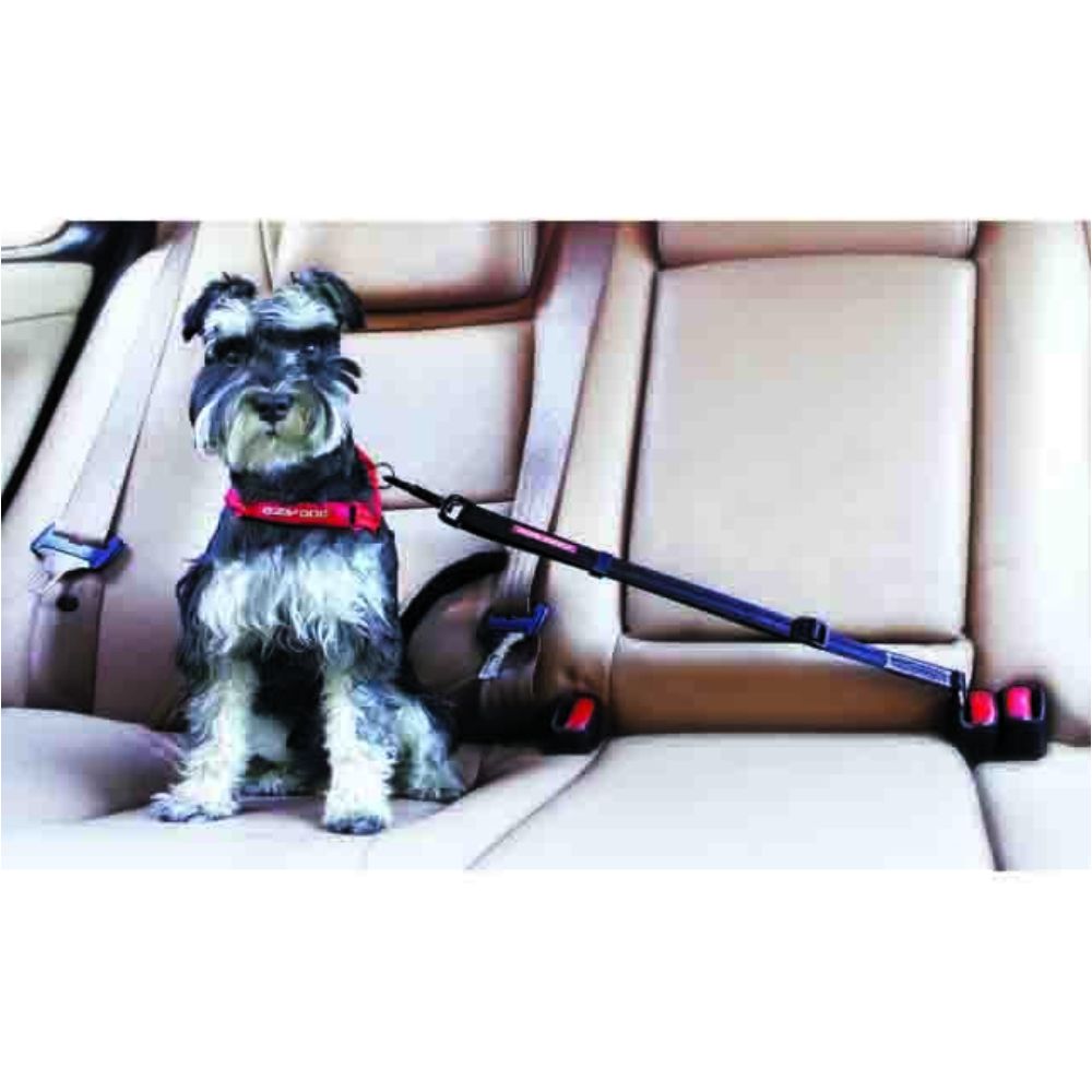 EzyDog-Click-Adjustable-Seat-Belt-Attachment-Black