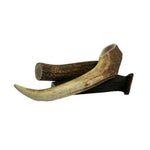    dog-antler-loose-medium-