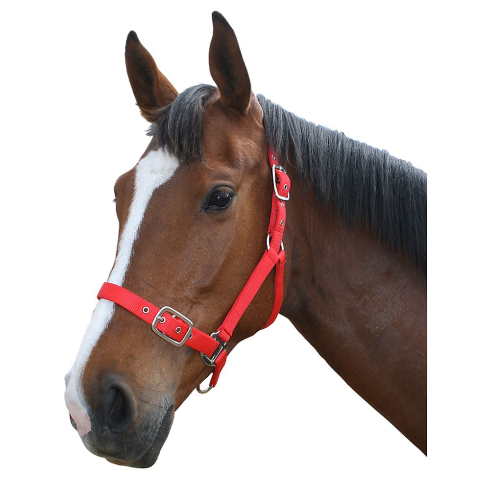 flair-web-halter-red