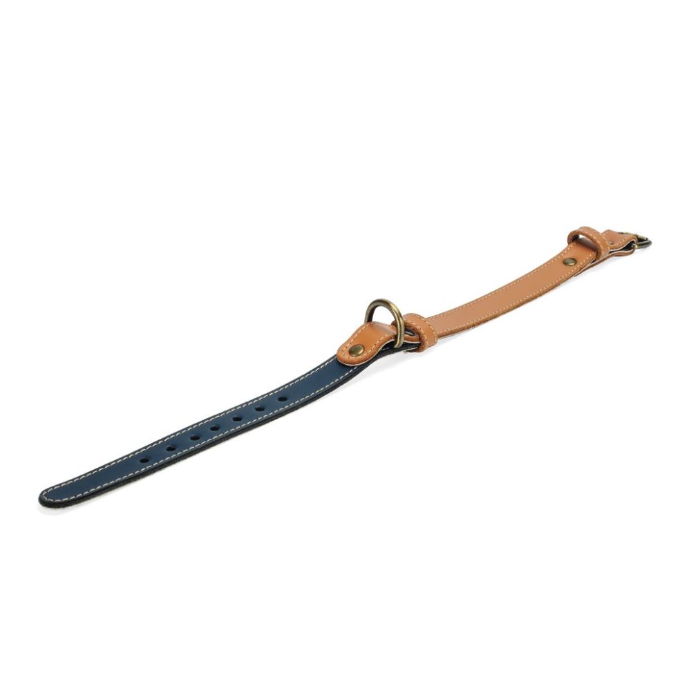pawdel-handcrafted-leather-dog-collar-lapis-blue