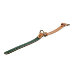 pawdel-alpha-collar-dog-collar-loden-green