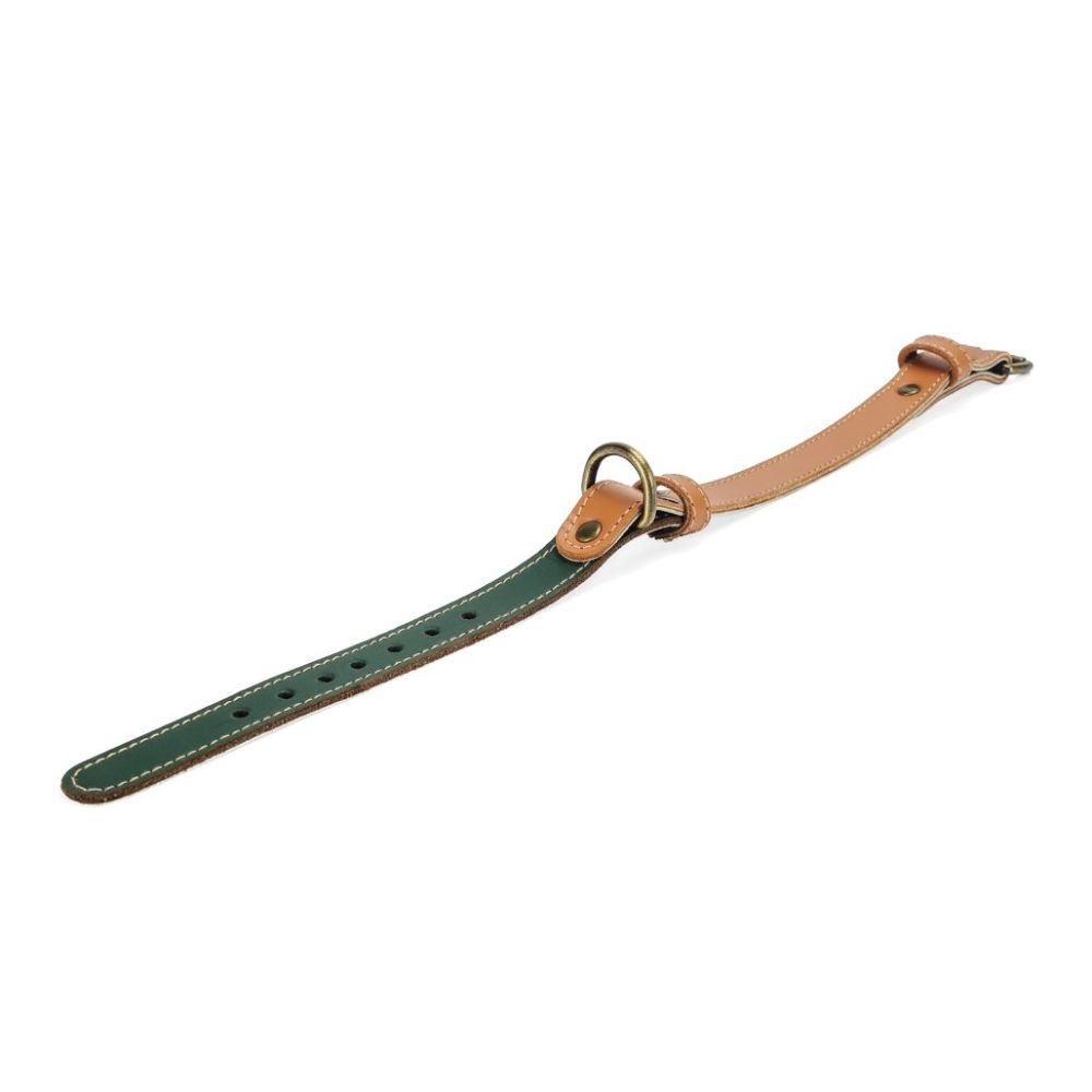 pawdel-alpha-collar-dog-collar-loden-green