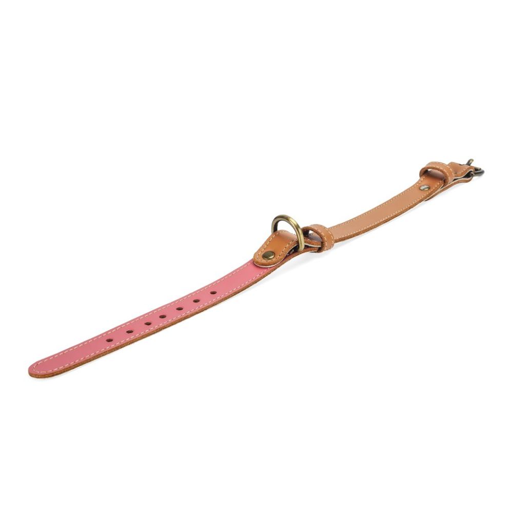 Pawdel-handcrafted-leather-dog-collar