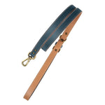 pawdel-alpha-dog-leash-lapis