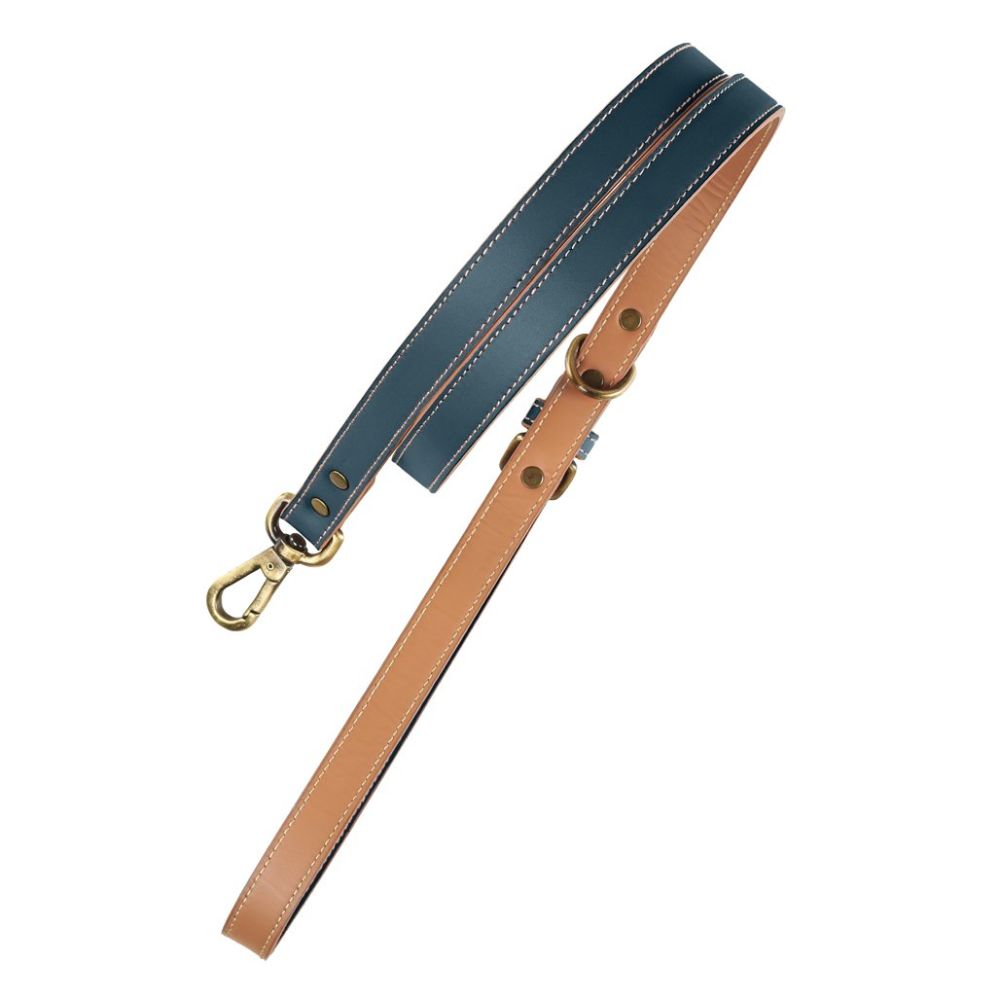 pawdel-alpha-dog-leash-lapis