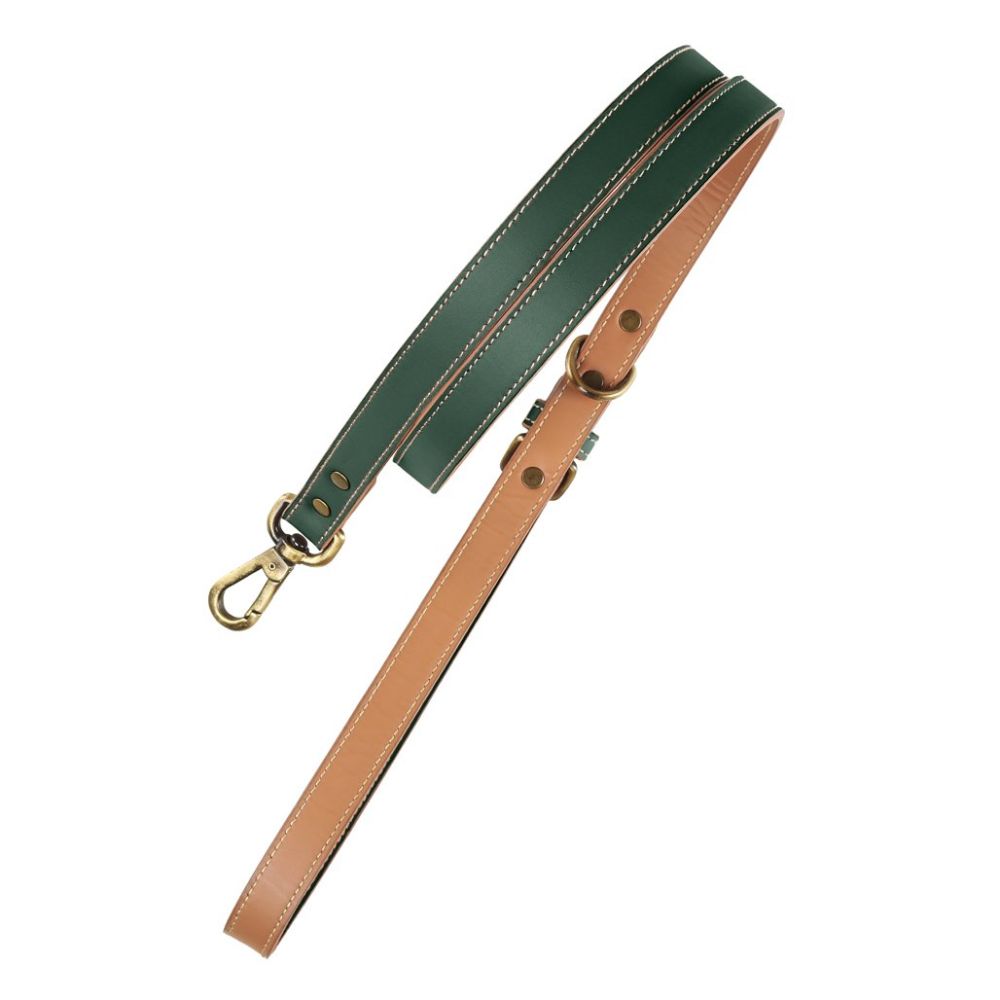 Pawdel-hand-crafted-leather-dog-lead