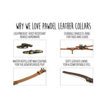 why-we-love-pawdel-dog-collars